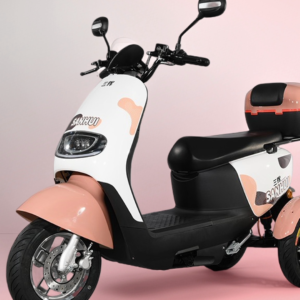 electric tricycle elderly household transportation safety vehicle
